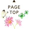 PAGE TOP